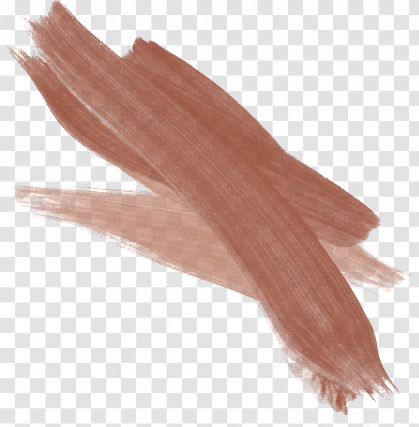 Paint Pap Test Sticker Picture Frame - Color - Brown Pigment Pen Marks Transparent PNG