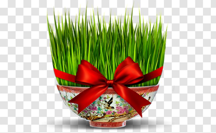 Nowruz Iran New Year Holiday Greetings - Iranian Peoples - Flowerpot Transparent PNG