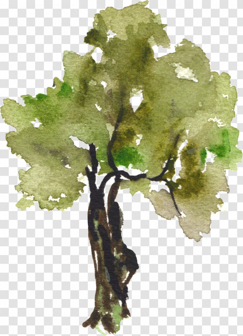 Tree Watercolor Painting Clip Art - Hand-painted Trees Transparent PNG