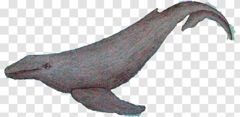 Whale Cartoon - Blue - Tail Transparent PNG