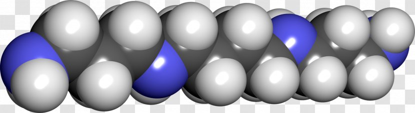 Spermidine Odor Semen Polyamine Molecule - Chemical Compound - Bacterial Growth Factors Transparent PNG