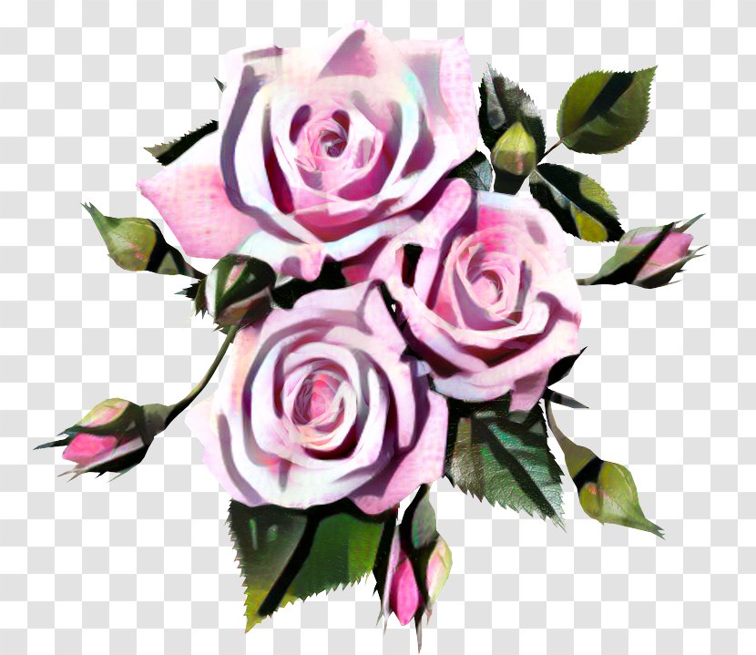 Rose Pink Image Flower - Cut Flowers - Purple Transparent PNG