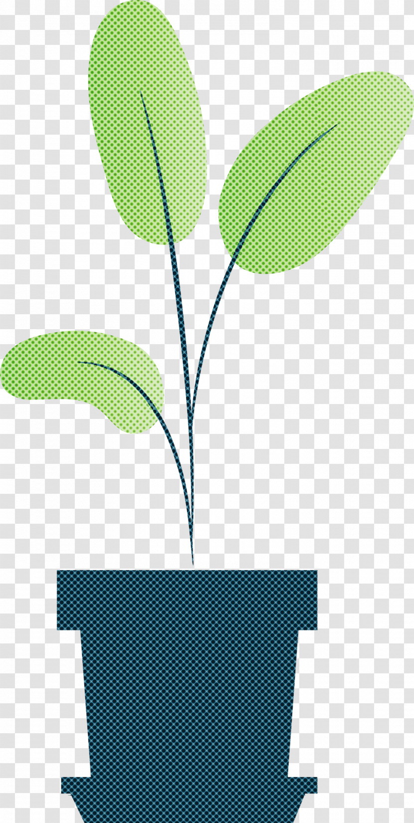 Leaf Plant Stem Green Branch Vascular Plant Transparent PNG