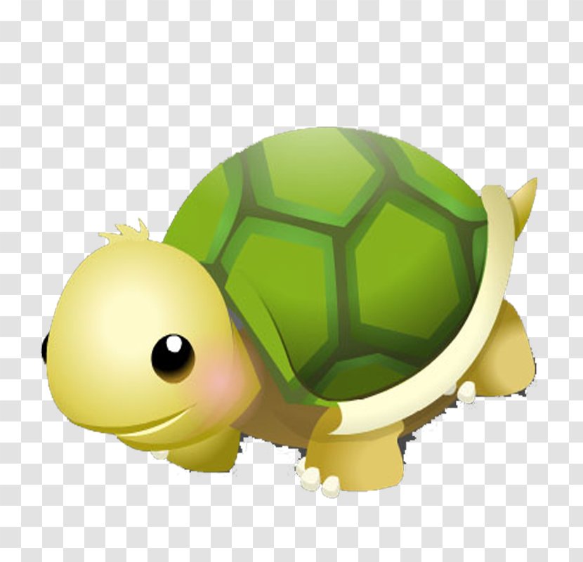 Turtle Tortoise Cartoon Drawing - Green Transparent PNG