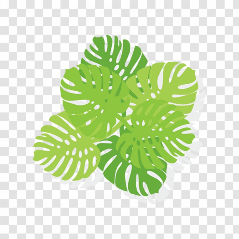 Shrub Computer File - Cartoon - Green Leaf Leaves Bush Transparent PNG
