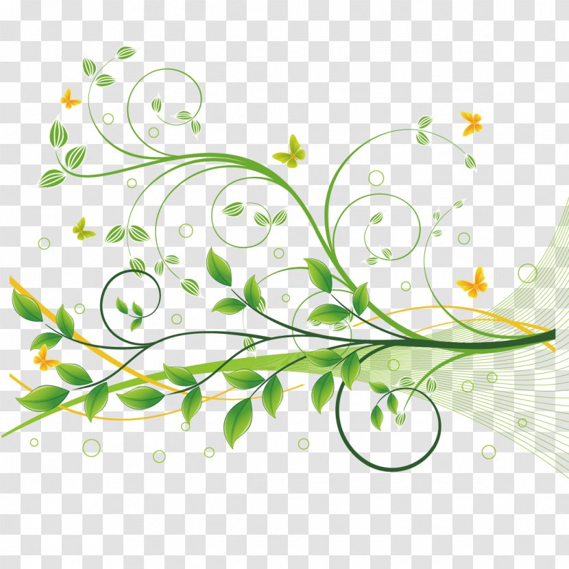 Flower Green Floral Design - Plant Stem - Branches And Lines Transparent PNG