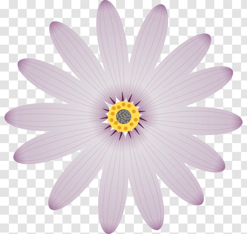 Petal Flower Clip Art - Daisy Family - Open Flowers Transparent PNG