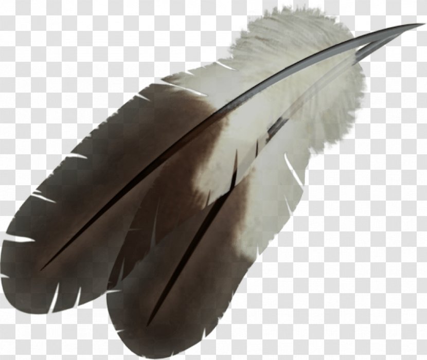 Feather Clip Art - Image File Formats Transparent PNG