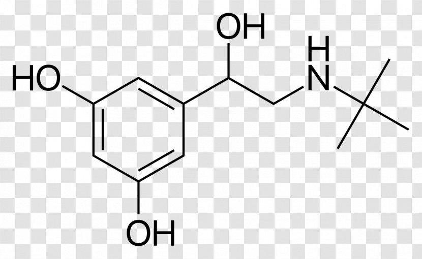 Terbutaline Beta2-adrenergic Agonist Metaproterenol Asthma Beta-2 Adrenergic Receptor - Rectangle - Metoprolol Transparent PNG