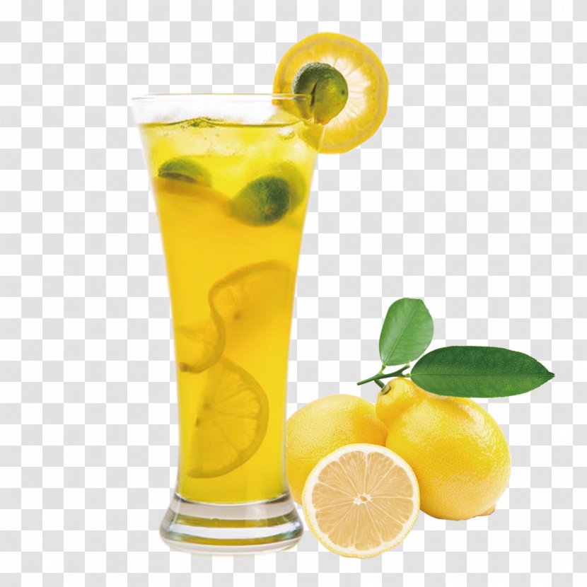 Lemonade Drink Milk Tea - Limonana - A Cup Of Frozen Lemon Transparent PNG