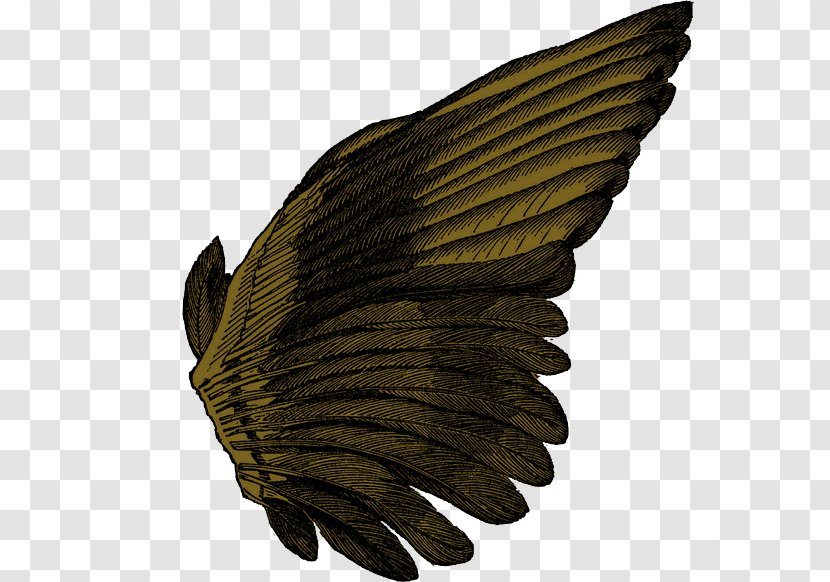 Wing Clip Art - Angel - Ali Transparent PNG