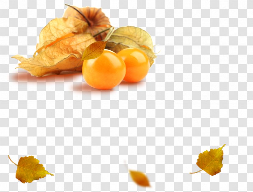 Peruvian Groundcherry Clementine Tropical Fruit Food - Peel - Vegetable Transparent PNG
