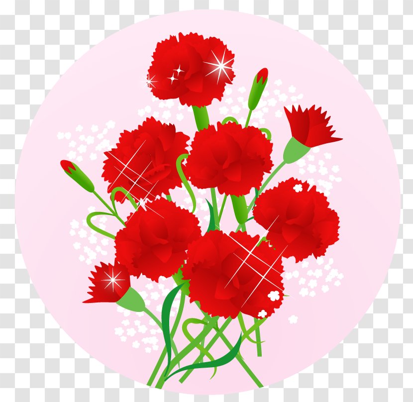 Carnation Mother's Day Cut Flowers 舞妓の茶本舗 - Floristry Transparent PNG