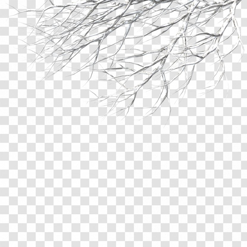 Tree Branch Trunk Photography Deciduous - Leaf - Snow Transparent PNG