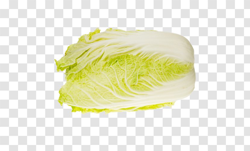 Romaine Lettuce Chinese Cabbage Napa Vegetable - Zucchini Transparent PNG