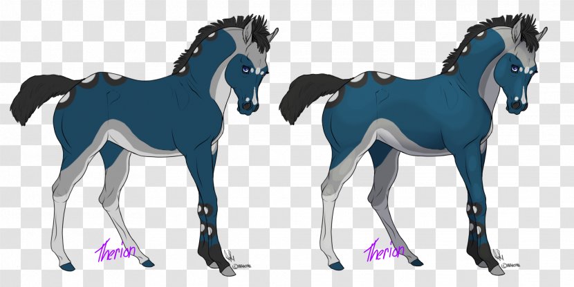 Foal Mustang Colt Stallion Mare - Pony Transparent PNG
