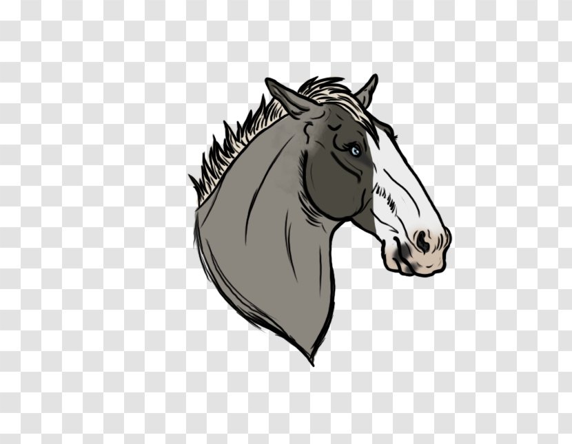 Mane Stallion Mustang Bridle Donkey - Yonni Meyer Transparent PNG