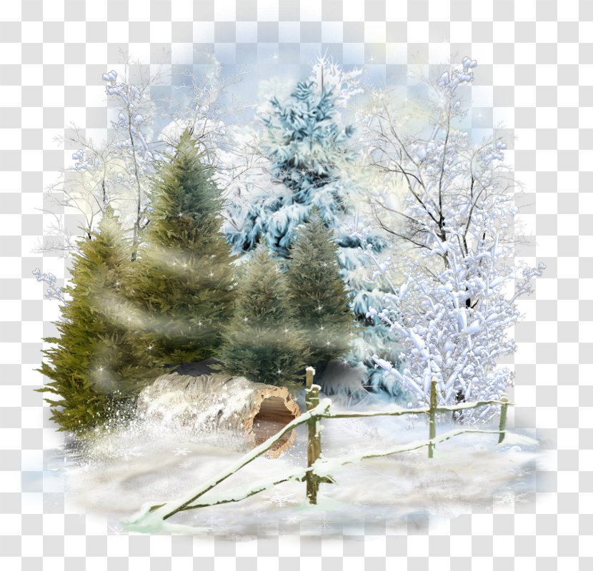 Spruce Winter Desktop Wallpaper Snow Landscape - Pine Family Transparent PNG