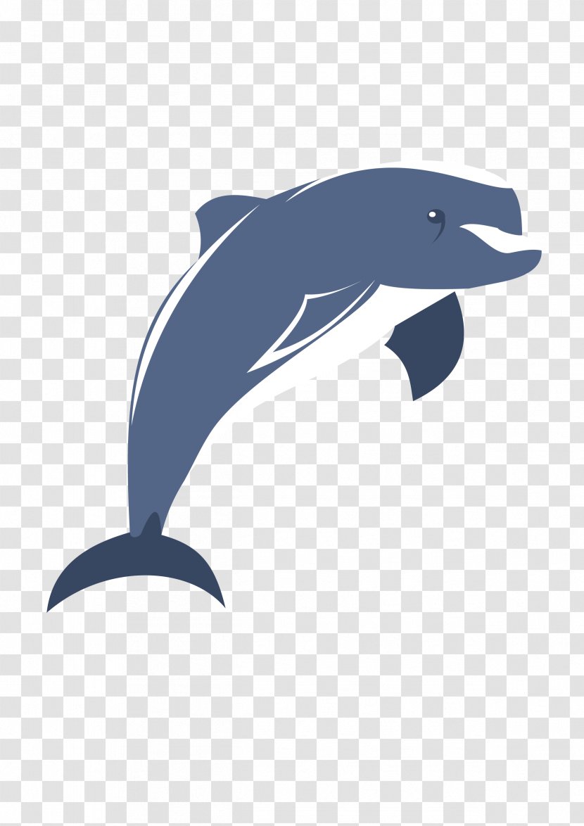 Common Bottlenose Dolphin Tucuxi Wholphin Short-beaked Porpoise - Cartoon Transparent PNG