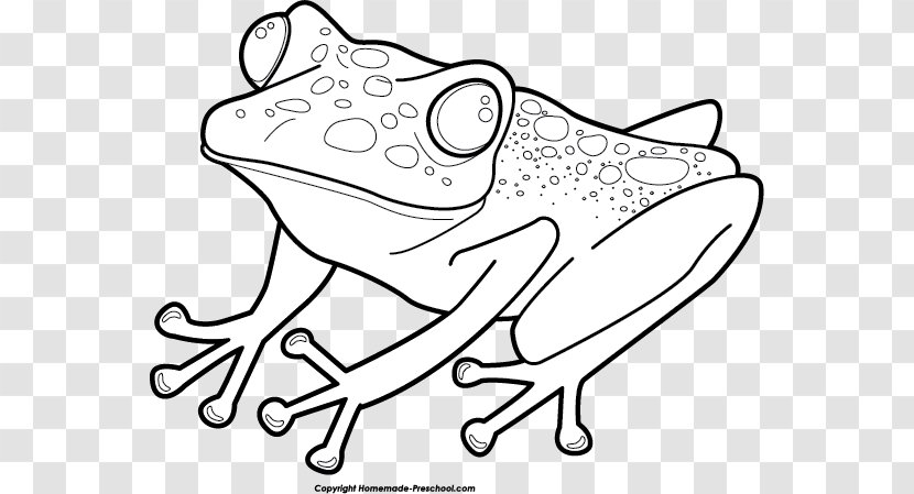 Frog And Toad Are Friends Clip Art The Coloring Book - Flower - Rainbow On Lily Pad Transparent PNG