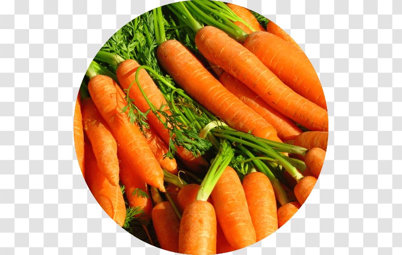 Food Carrot Juice Seed Turkey - Natural Foods Transparent PNG