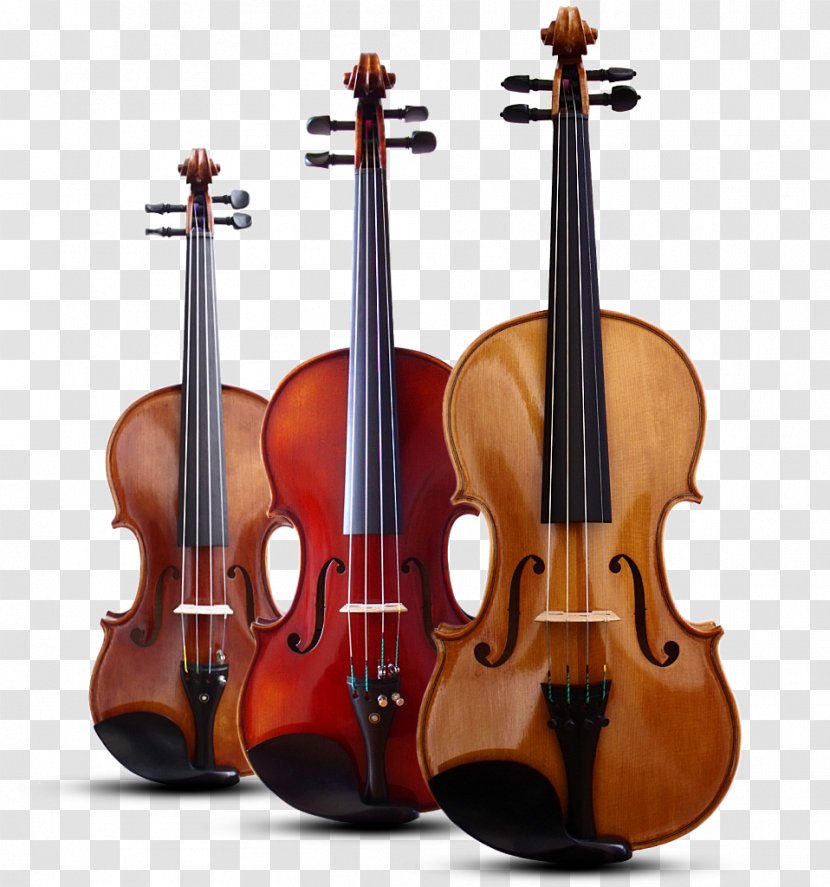 Violin Stradivarius String Instruments Cello - Frame Transparent PNG