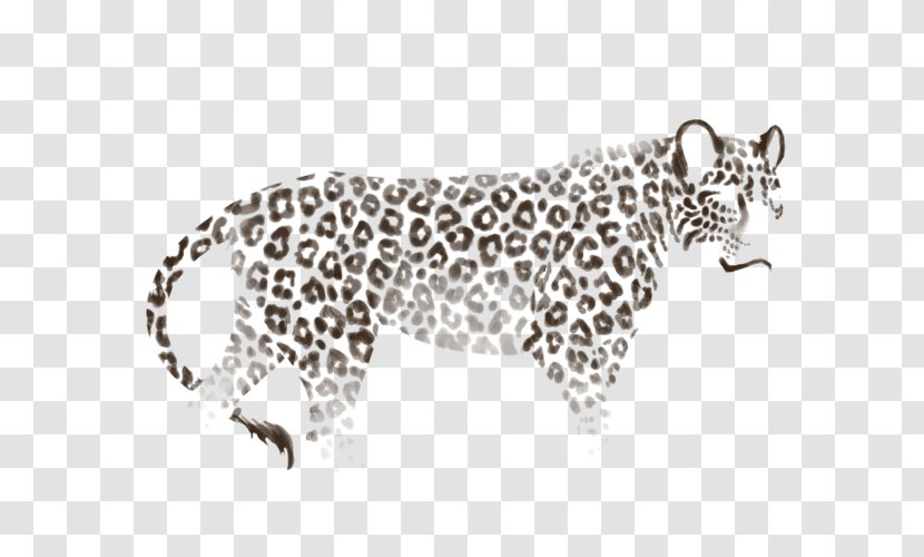Leopard Cheetah Lion Horse Hyena - Head Transparent PNG