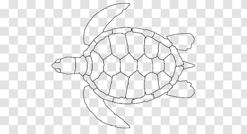 Green Sea Turtle Loggerhead Hawksbill - Drawing - Outline Transparent PNG