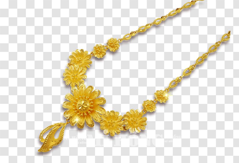 Amber Body Jewellery Necklace Transparent PNG