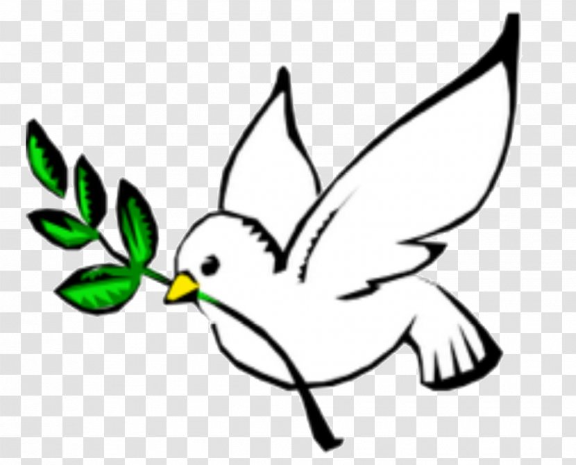 Columbidae Doves As Symbols Peace Olive Branch Clip Art - Flora - Erdogan Transparent PNG