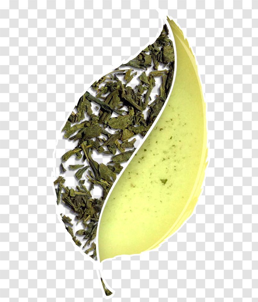 Oolong Tieguanyin Green Tea Bancha - Caffeine - Leaves Transparent PNG