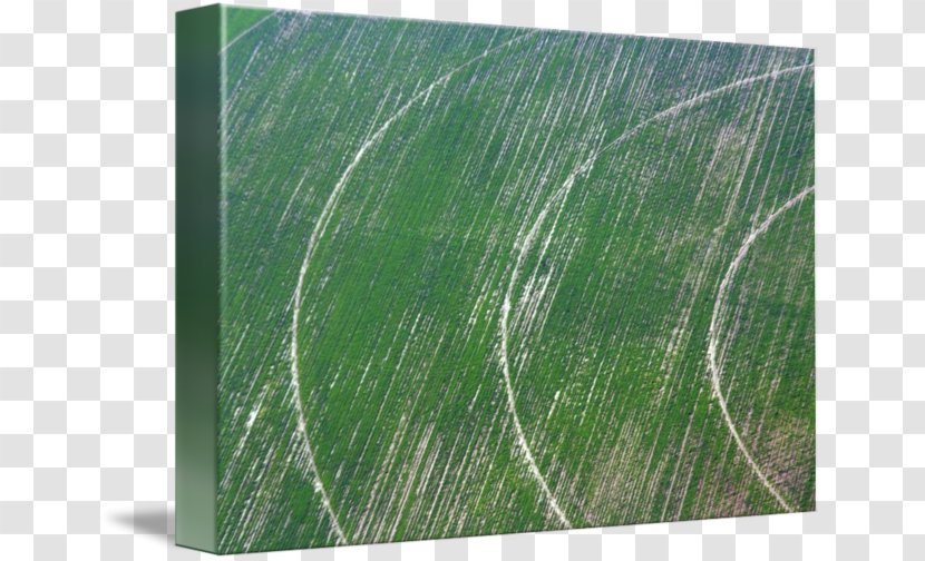 Green Biome Pattern - Grass Family - Crop Circle Transparent PNG