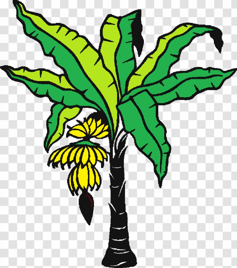 Banana Leaf Coloring Book Drawing - Plant Stem - Bananatree Transparent PNG