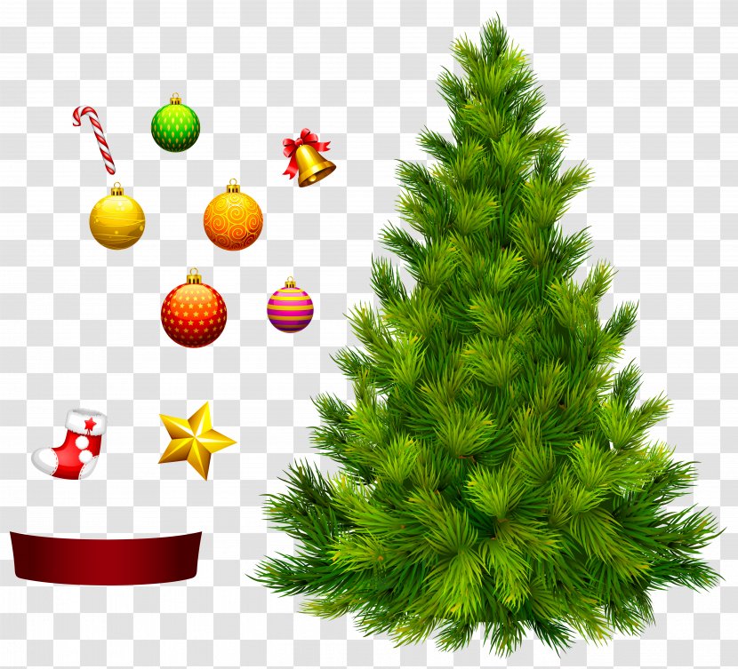 Xmas Tree For Decoration Clipart - Spruce - Interior Design Services Transparent PNG