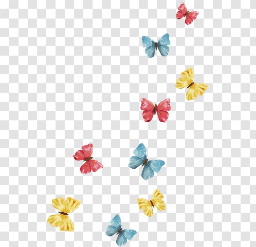 Borboleta Flower Petal Theme - Color Transparent PNG