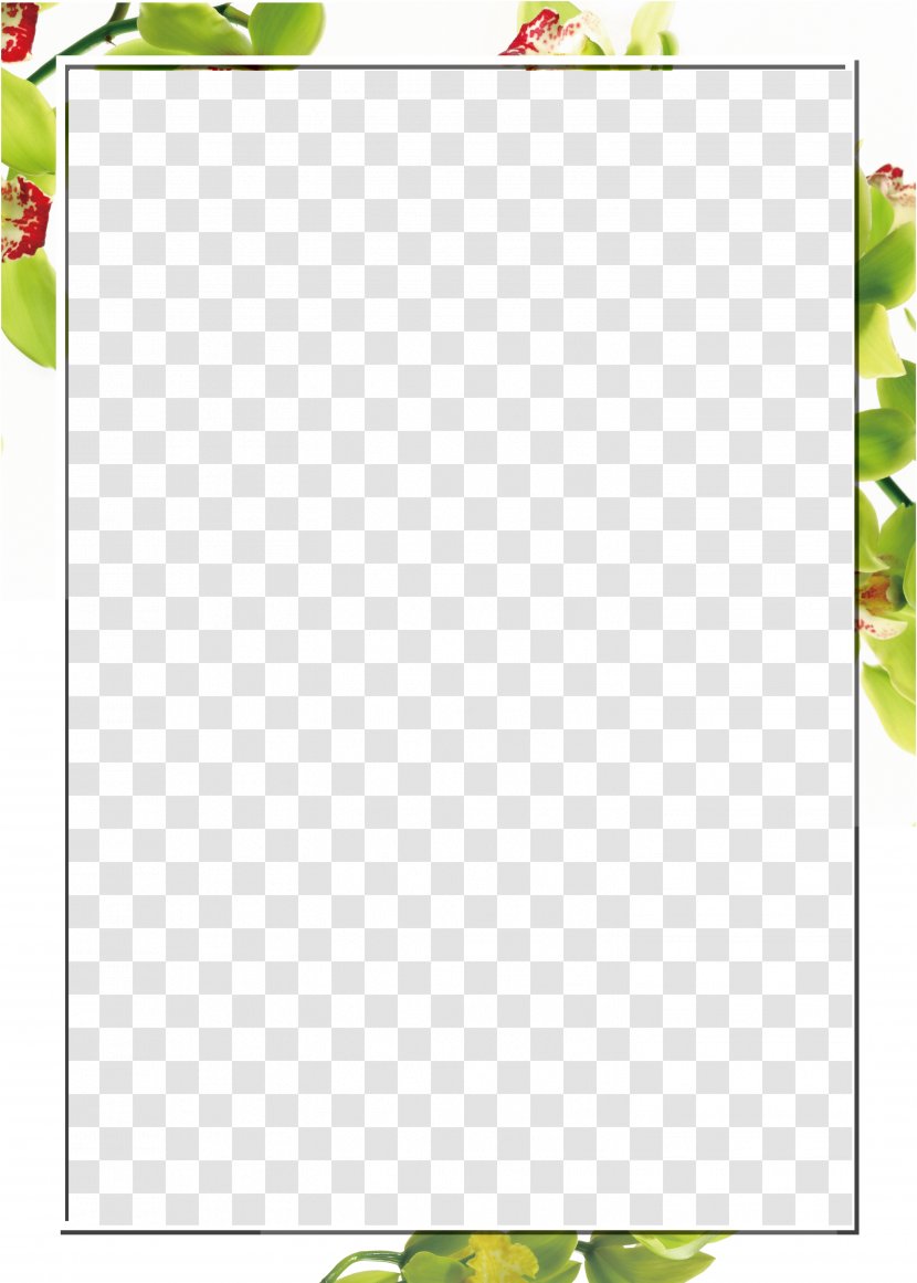 Template - Green - Spring Floral Decoration Borders Transparent PNG
