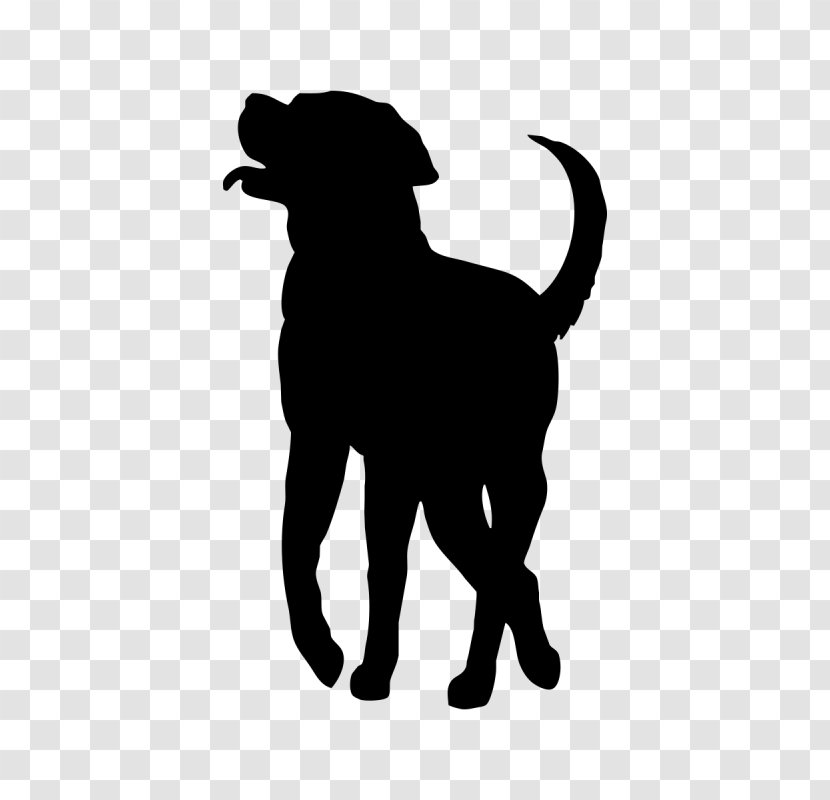 Labrador Retriever Puppy Dog Breed Smooth Collie Rough Transparent PNG
