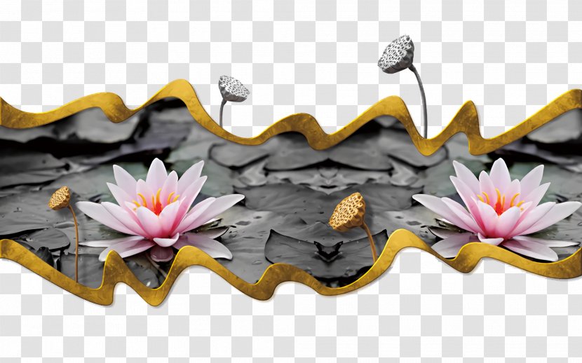 Lotus - Sacred - Petal Echeveria Transparent PNG