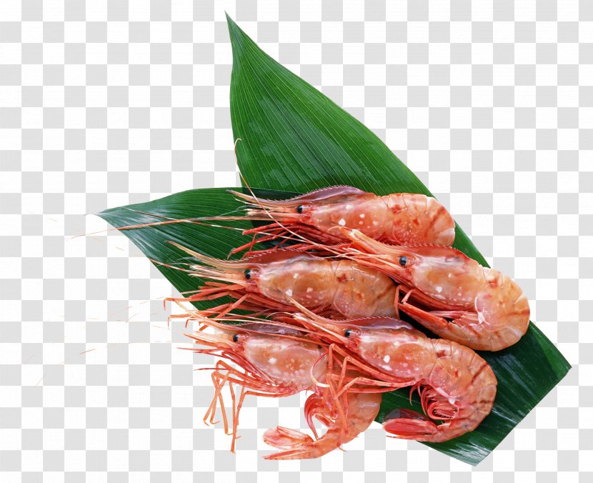 Hokkaido Sushi Seafood Crab Sashimi - Food - Shrimps Transparent PNG