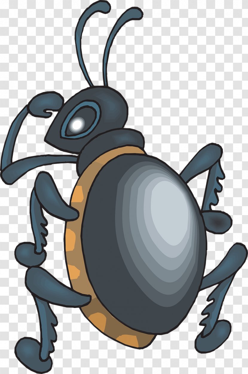 Beetle Clip Art - Membrane Winged Insect - Black Ants Transparent PNG