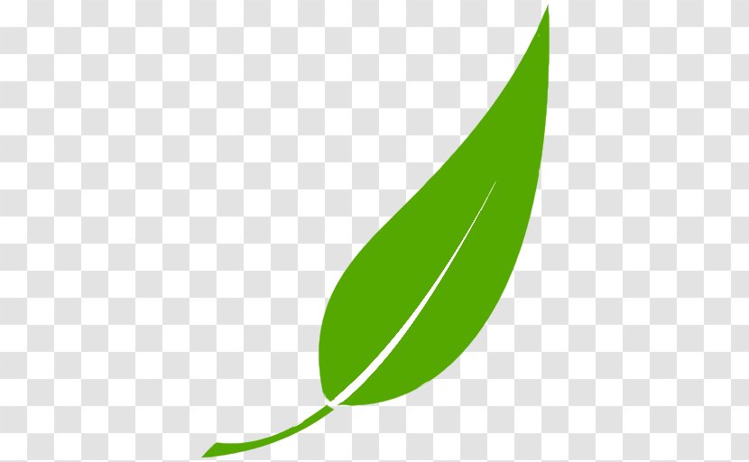 Leaf Green Plant Stem Clip Art Transparent PNG