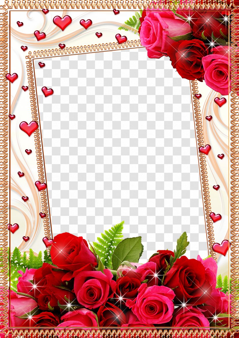 Picture Frame Flower Rose - Order - Mood Pictures Transparent PNG
