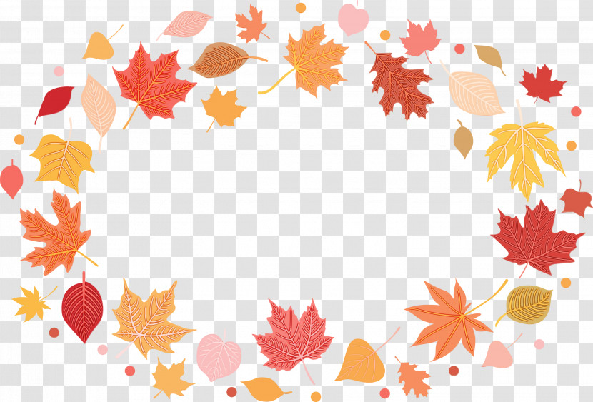 Maple Leaf Transparent PNG