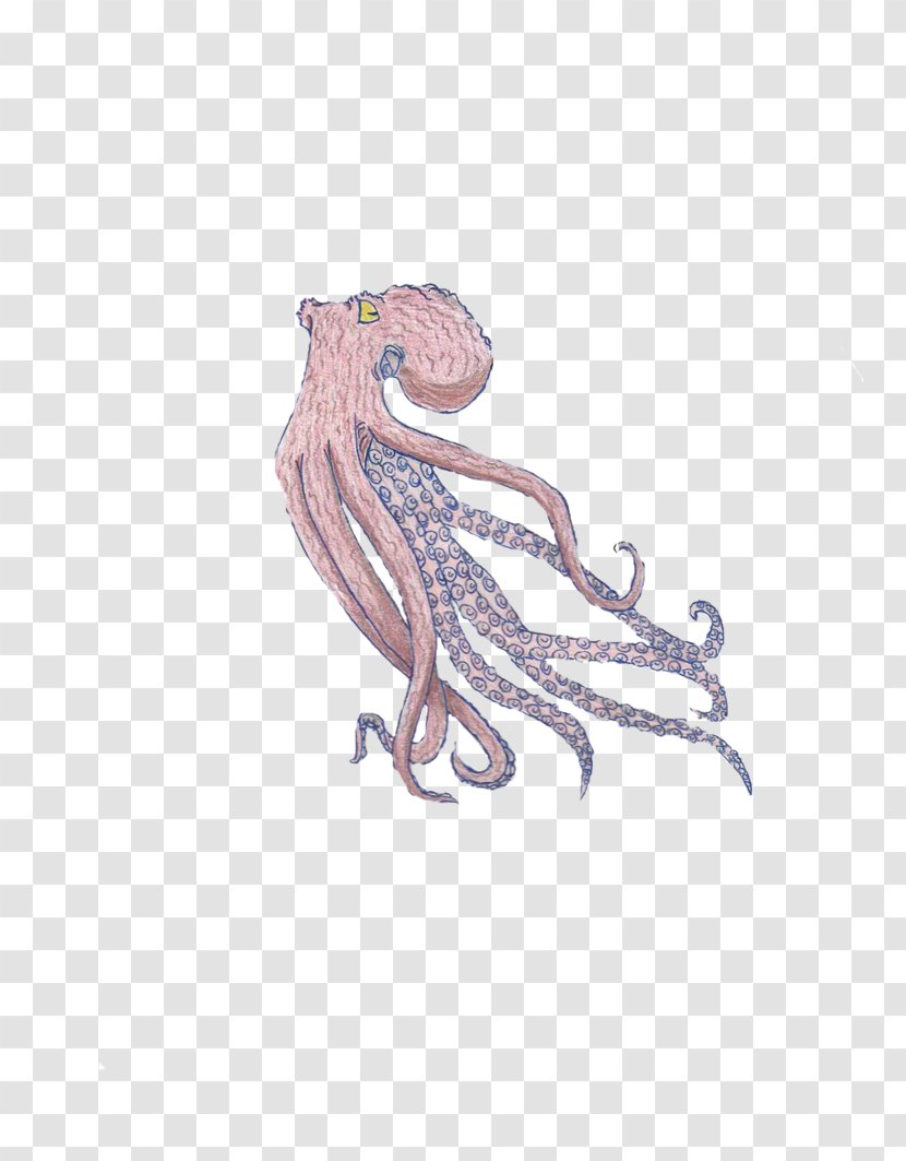 Octopus Drawing Art Cephalopod Squid - Shading Transparent PNG