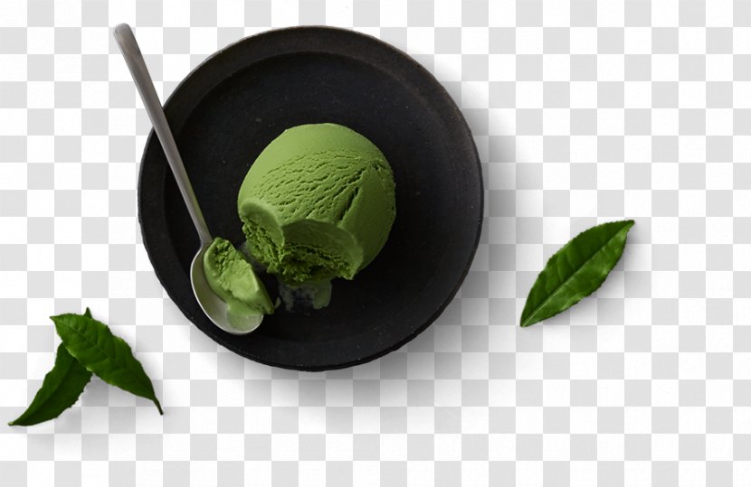Häagen-Dazs Ice Cream Flat-leaved Vanilla Toyotomi Brand - Bestseller Transparent PNG