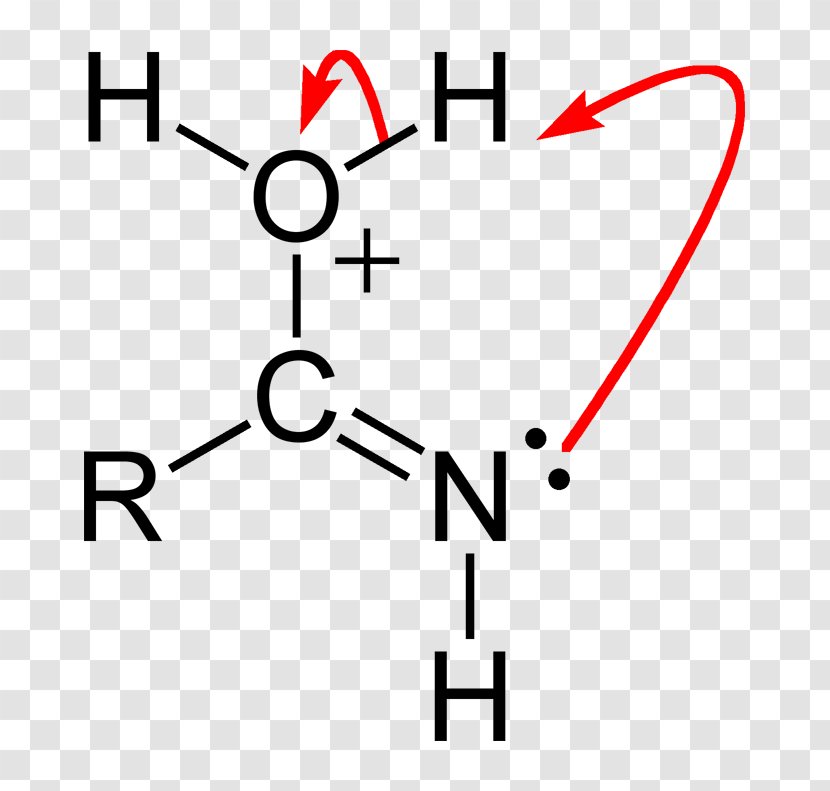 Functional Group Acrolein Carbonyl Organic Compound Aldehyde - Steps Transparent PNG