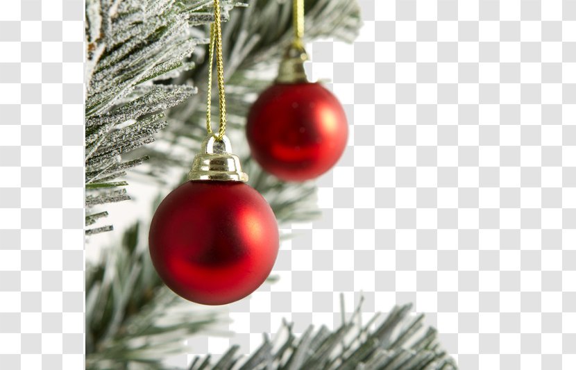 Christmas Ornament Tree Gift - Stock Photography - Red Ball Transparent PNG