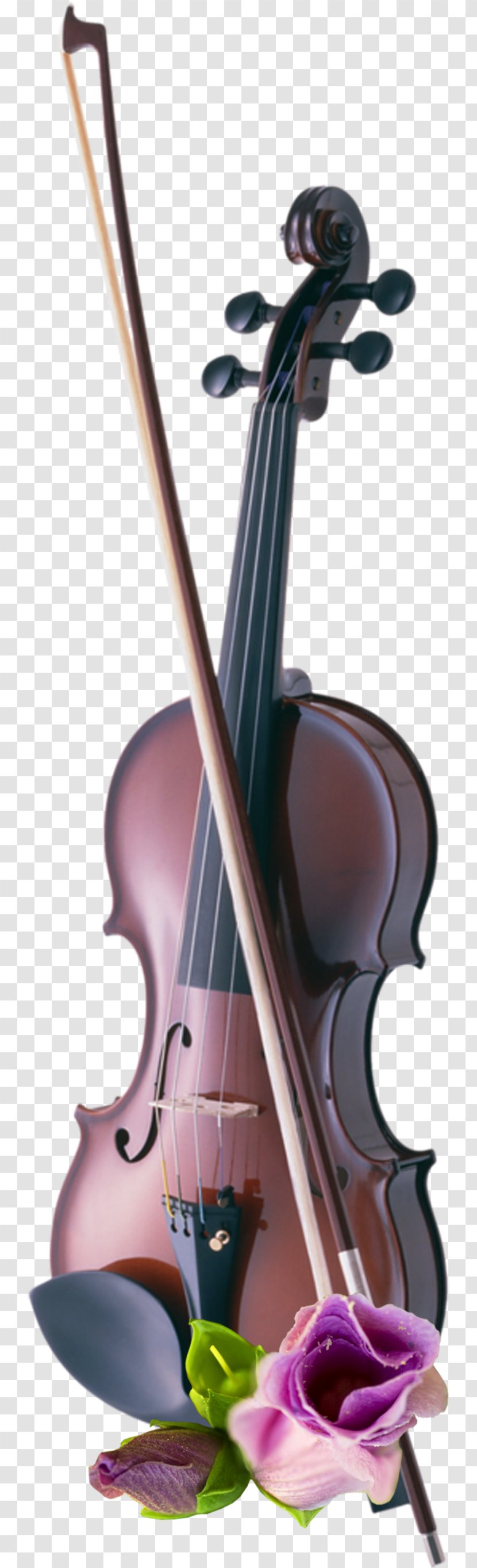 Cello Violin Musical Instruments String - Flower Transparent PNG