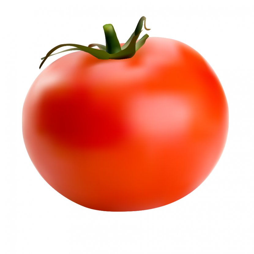Roma Tomato Cherry Vegetable Heirloom Bell Pepper - Diet Food Transparent PNG