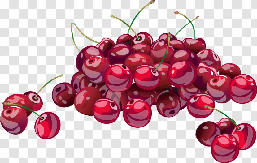 Juice Cherries Jubilee Sour Cherry - Dried Fruit - Berries Transparent PNG